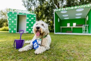 Fotomatón para perros