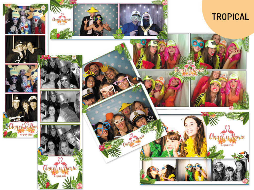 FormatoTropicalGrupo