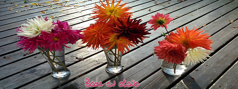 Boda en Otoño